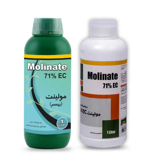مولینت