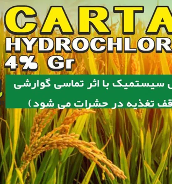 کارتاپ گرانول 4%
