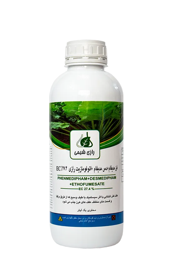 فن مدیفام