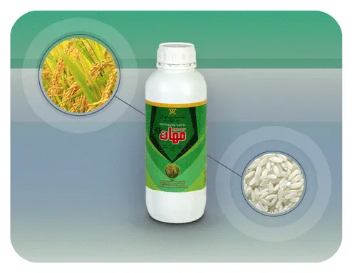 بنتازون (بازاگران)