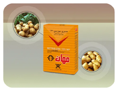 متری بوزین (سنکور)