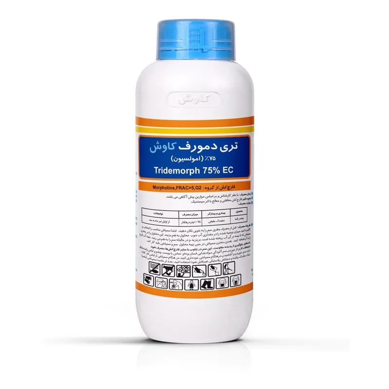 تری دمورف کاوش