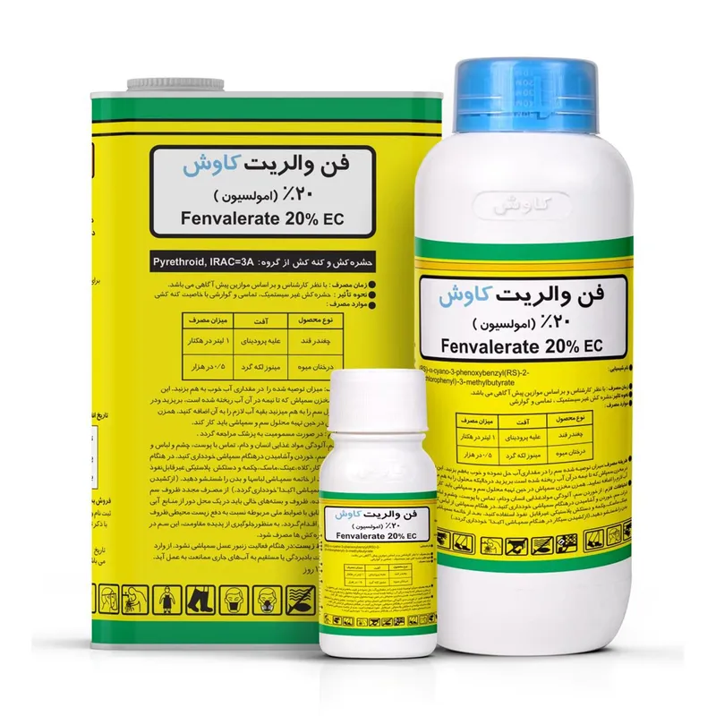 فن والریت کاوش