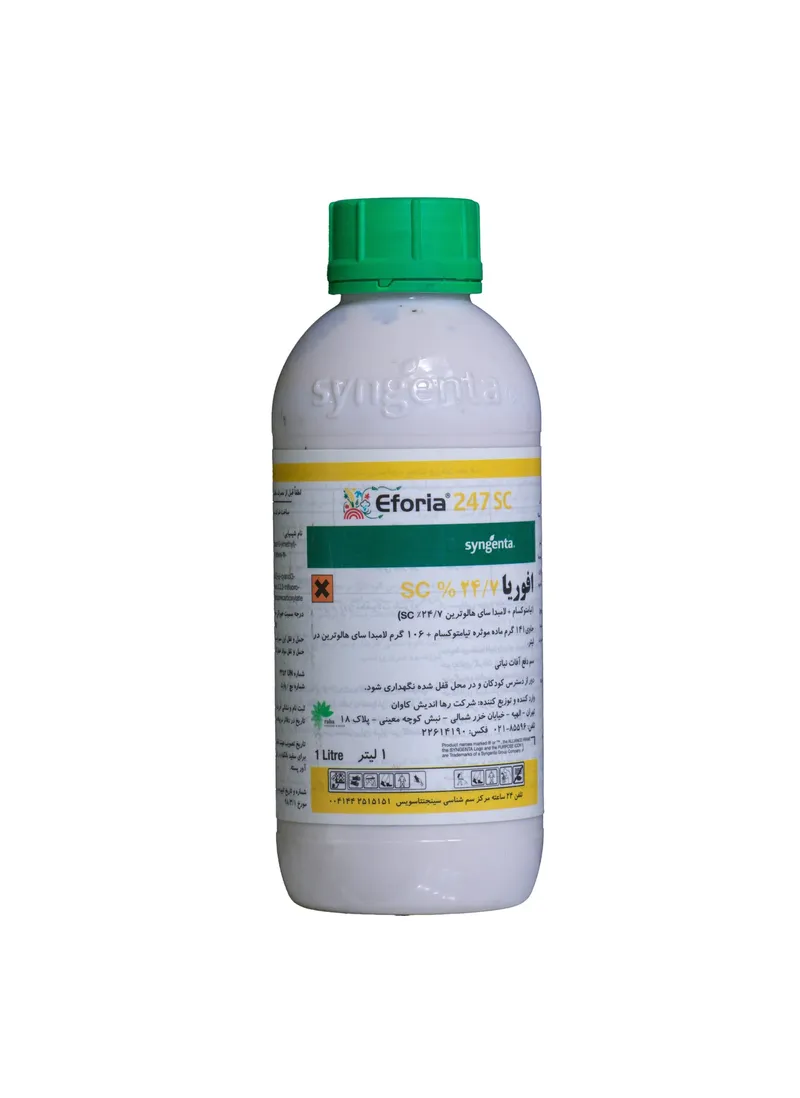 افوریا