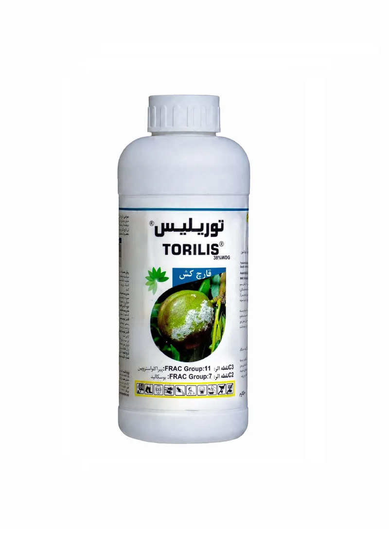 توریلیس