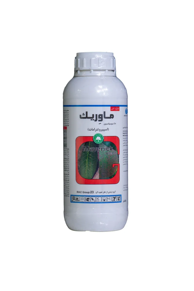 ماوریک