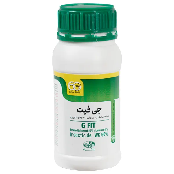 جی فیت